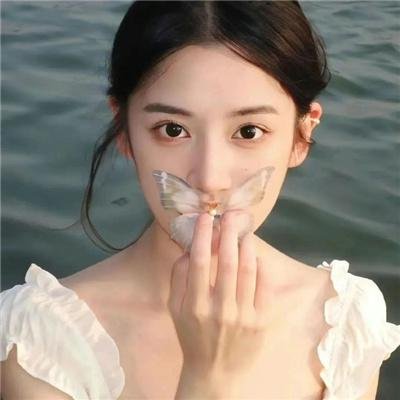 王朝的女人·杨贵妃
